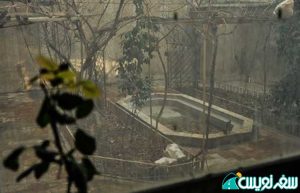 عکسهای داخل خانه فروغ فرخزاد