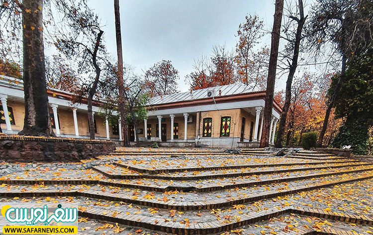 در تور درختان کهنسال، طبیعت را لمس کنید، تاریخ را حس کنید و تهران پاییزی را دوباره بشناسید