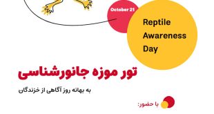تور تعاملی آشنایی با خزندگان در موزه جانورشناسی