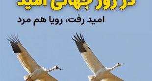 در روز جهانی امید؛ امید رفت، رویا هم مرد